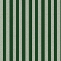Cabana Stripe Mint Linen Canvas | Primavera by Rifle Paper Co. | Cotton + Steel | Stitch Piece Loop | Shop Online + In Store | Home Fashion + Craft | Australia